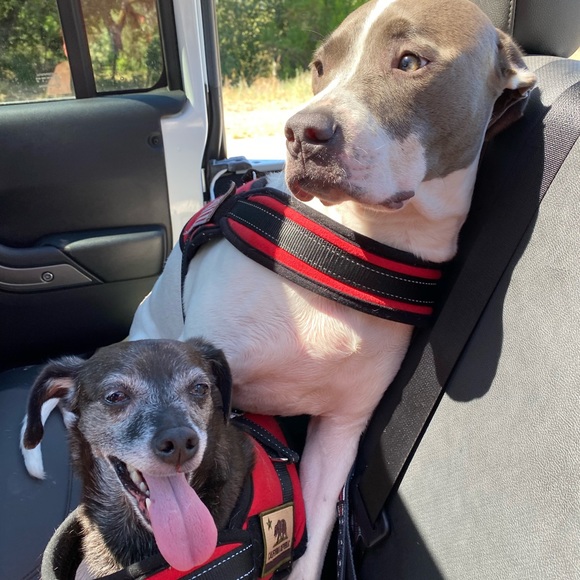 Meet your Posher, Jen - Picture 1 of 1